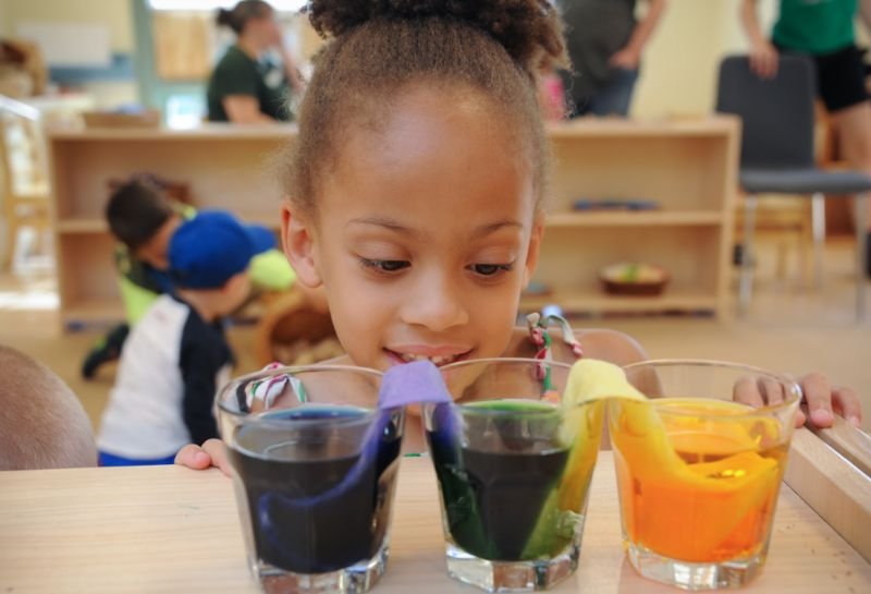 primary student watching colored water experiment