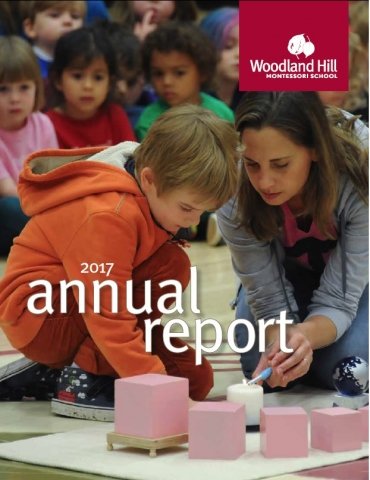 2017 Annual Report cover